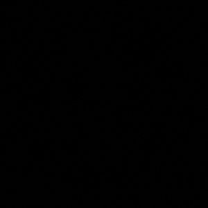 Meet your Posher, Eva